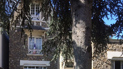 Dr Thierry D'ALDERETE à Colombes