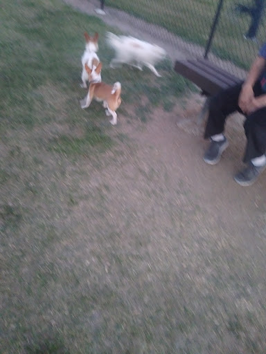 Park «Victor Park», reviews and photos, 1601 S M St, Harlingen, TX 78550, USA