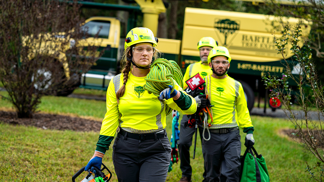 Bartlett Tree Experts — photo 1