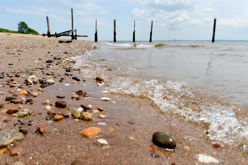 Park «Lemon Creek Park», reviews and photos, Hylan Blvd, Staten Island, NY 10309, USA