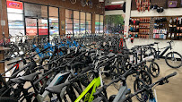Global Bikes & E-Bikes - Photo 3 - Car repair in Mesa, AZ, Mesa