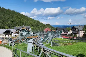 Alpine Coaster - Kolorowa image