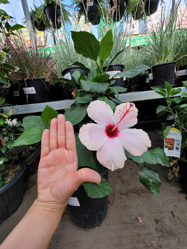 Home Improvement Store «The Home Depot», reviews and photos, 28033 Newhall Ranch Rd, Santa Clarita, CA 91355, USA