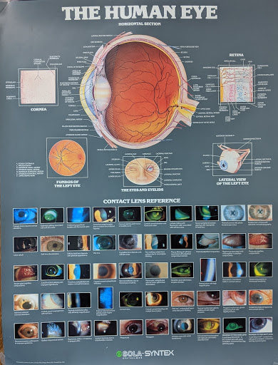 Optometrist «Davis Optometry», reviews and photos, 1111 Kennedy Pl #1, Davis, CA 95616, USA