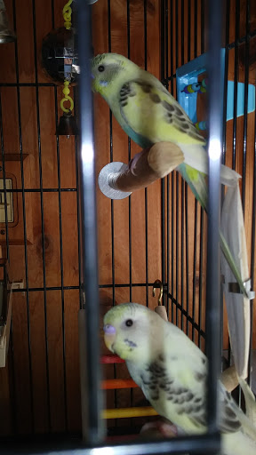 Pet Supply Store «PetSmart», reviews and photos, 2 Brick Plaza, Brick, NJ 08723, USA