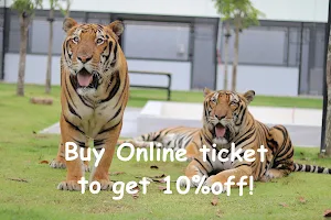 Tiger World Thailand image