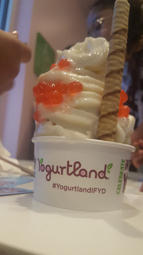 Frozen Yogurt Shop «Yogurtland», reviews and photos, 5635 Centennial Center Blvd, Las Vegas, NV 89149, USA