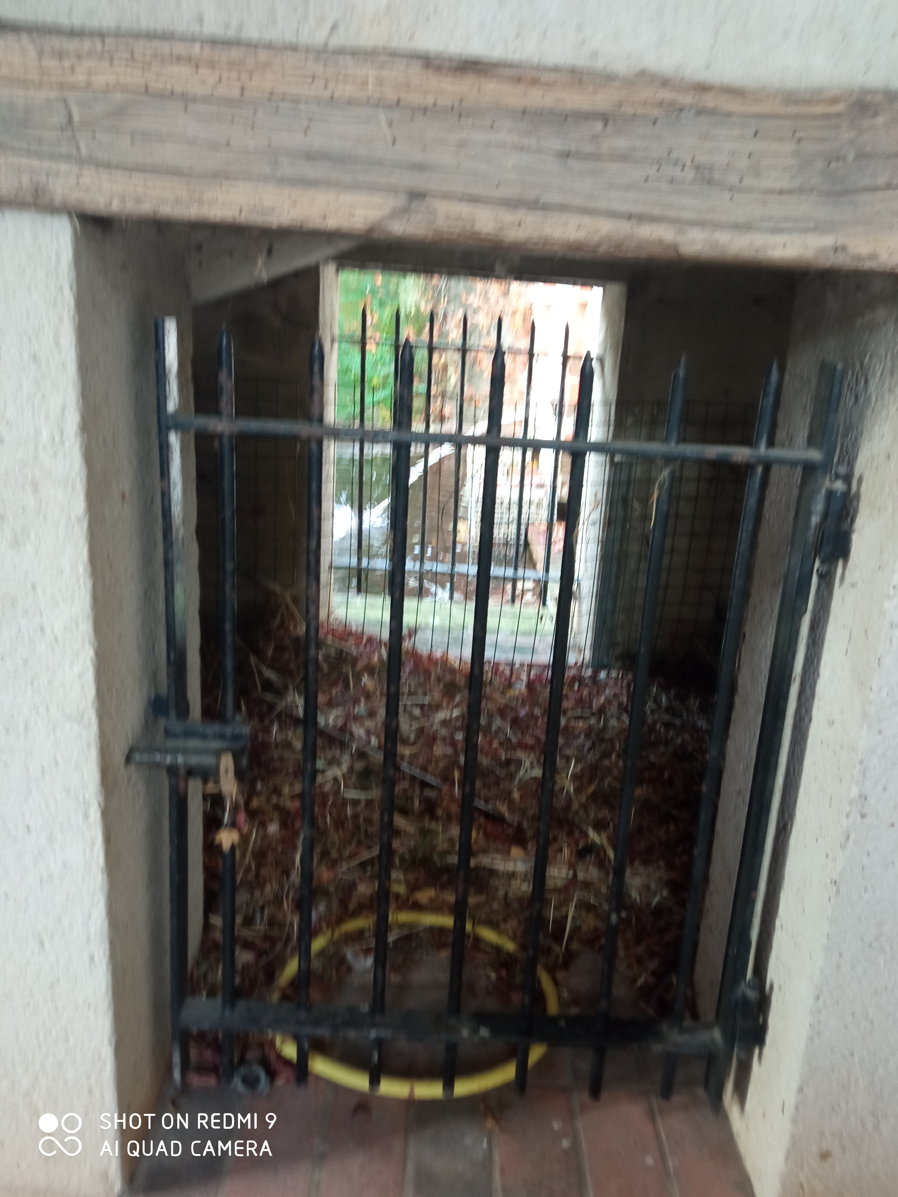 Photo n° 19 de l'avis de reseauoutremer.2 fait le 07/11/2020 à 18:39