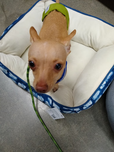 Pet Supply Store «Petco Animal Supplies», reviews and photos, 3454 Palmer Dr #7a, Cameron Park, CA 95682, USA