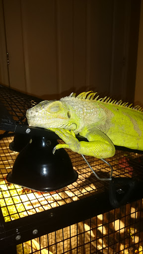 Pet Supply Store «Petco Animal Supplies», reviews and photos, 309 Worth Ave #123, Stafford, VA 22554, USA