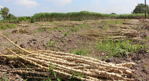 Top 3 cửa hàng bkav Huyện Tân Châu Tây Ninh 2022