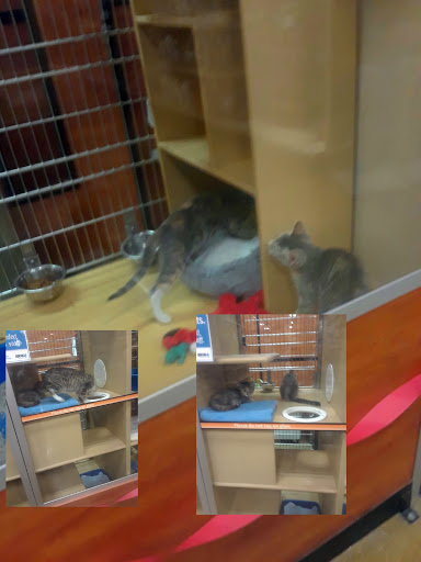 Pet Supply Store «PetSmart», reviews and photos, 8852 Washington Blvd, Pico Rivera, CA 90660, USA