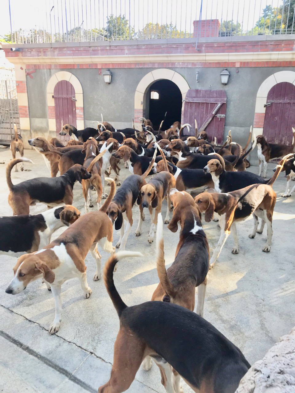 Photo n° 1 de l'avis de Quentin.h fait le 15/09/2020 à 12:05