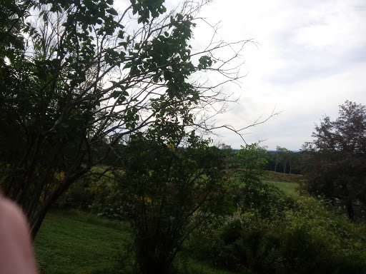 Liquor Store «Hampden Discount Liquors», reviews and photos, 7 Allen St, Hampden, MA 01036, USA