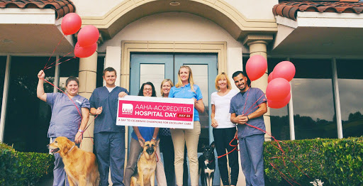 Dr Kathys Mobile Pet Care
