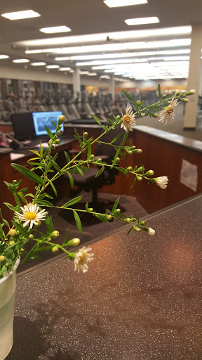 Gym «LA Fitness», reviews and photos, 455 Park Ave, Lindenhurst, NY 11757, USA