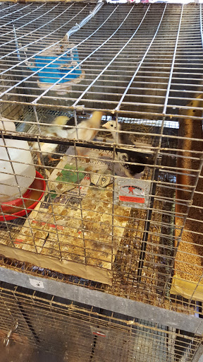 Tack Shop «Volusia Feed Farm Supply», reviews and photos, 505 N Samsula Dr, New Smyrna Beach, FL 32168, USA