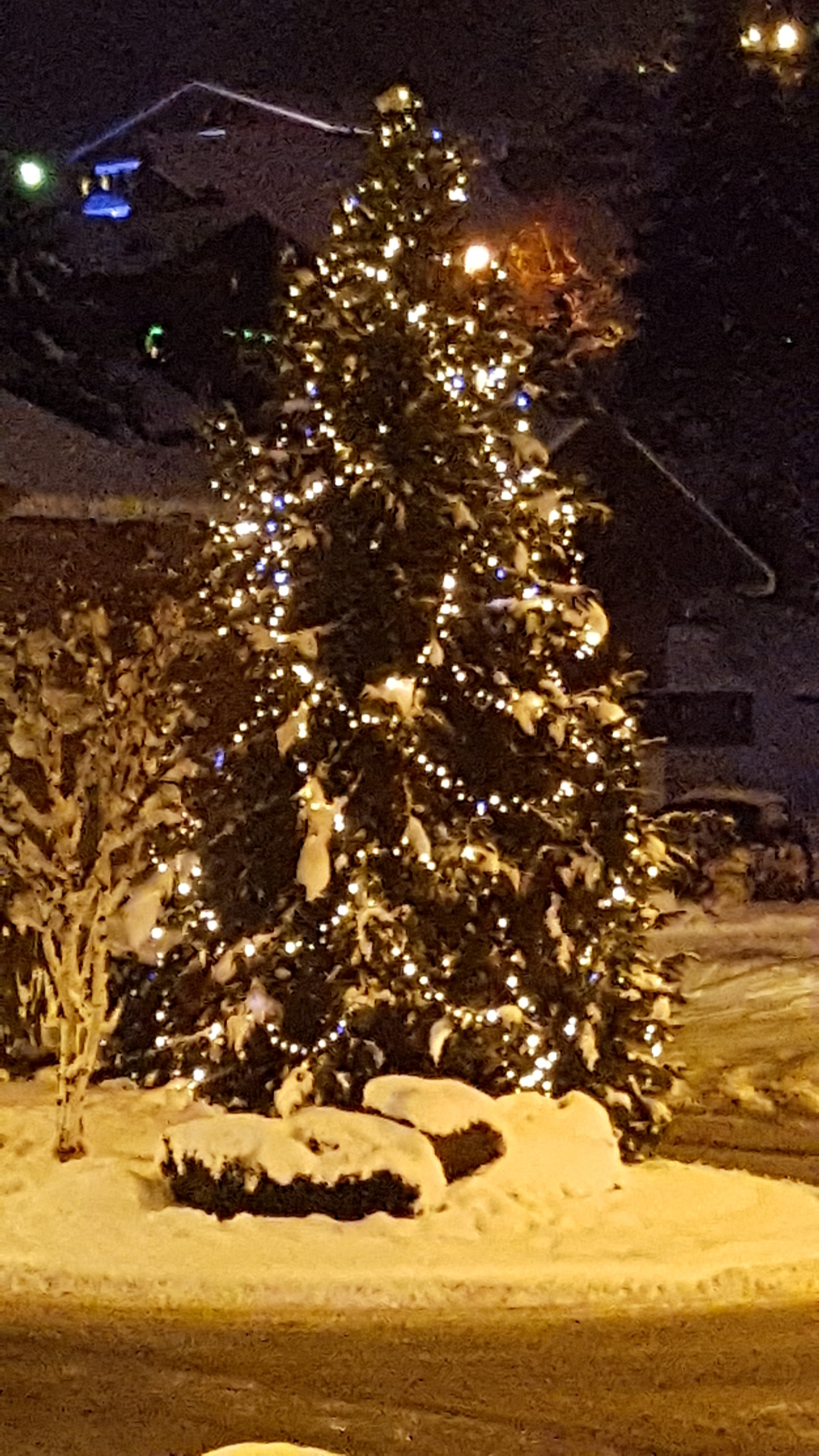 Photo n° 2 de l'avis de Patrice.n fait le 26/01/2019 à 20:39