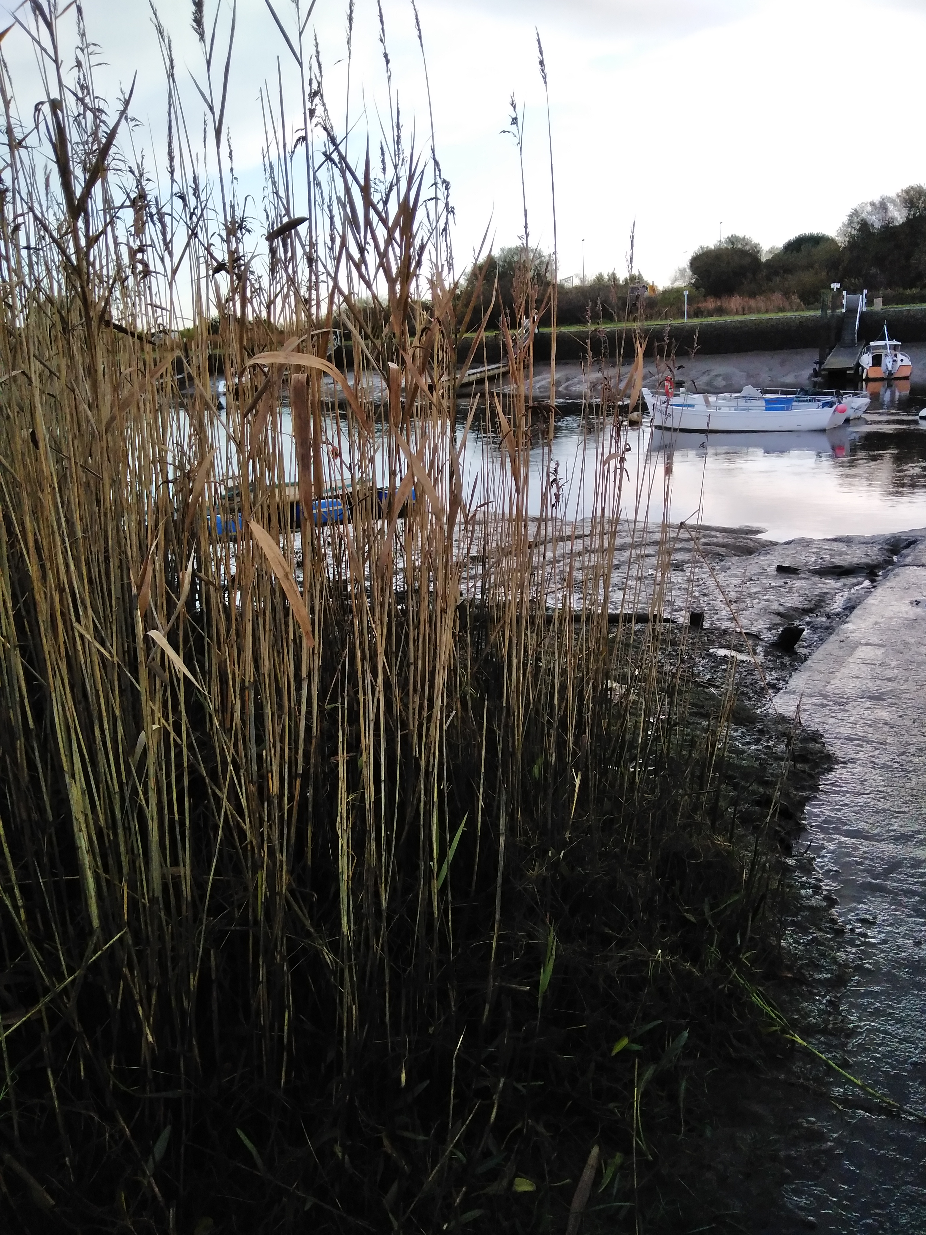 Photo n° 3 de l'avis de K... fait le 16/11/2019 à 10:37