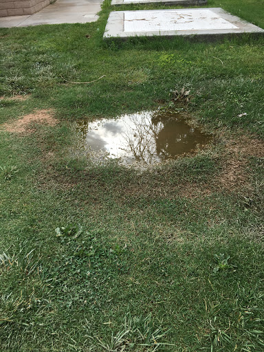 Park «W. Wayne Bunker Family Park», reviews and photos, 7351 W Alexander Rd, Las Vegas, NV 89129, USA