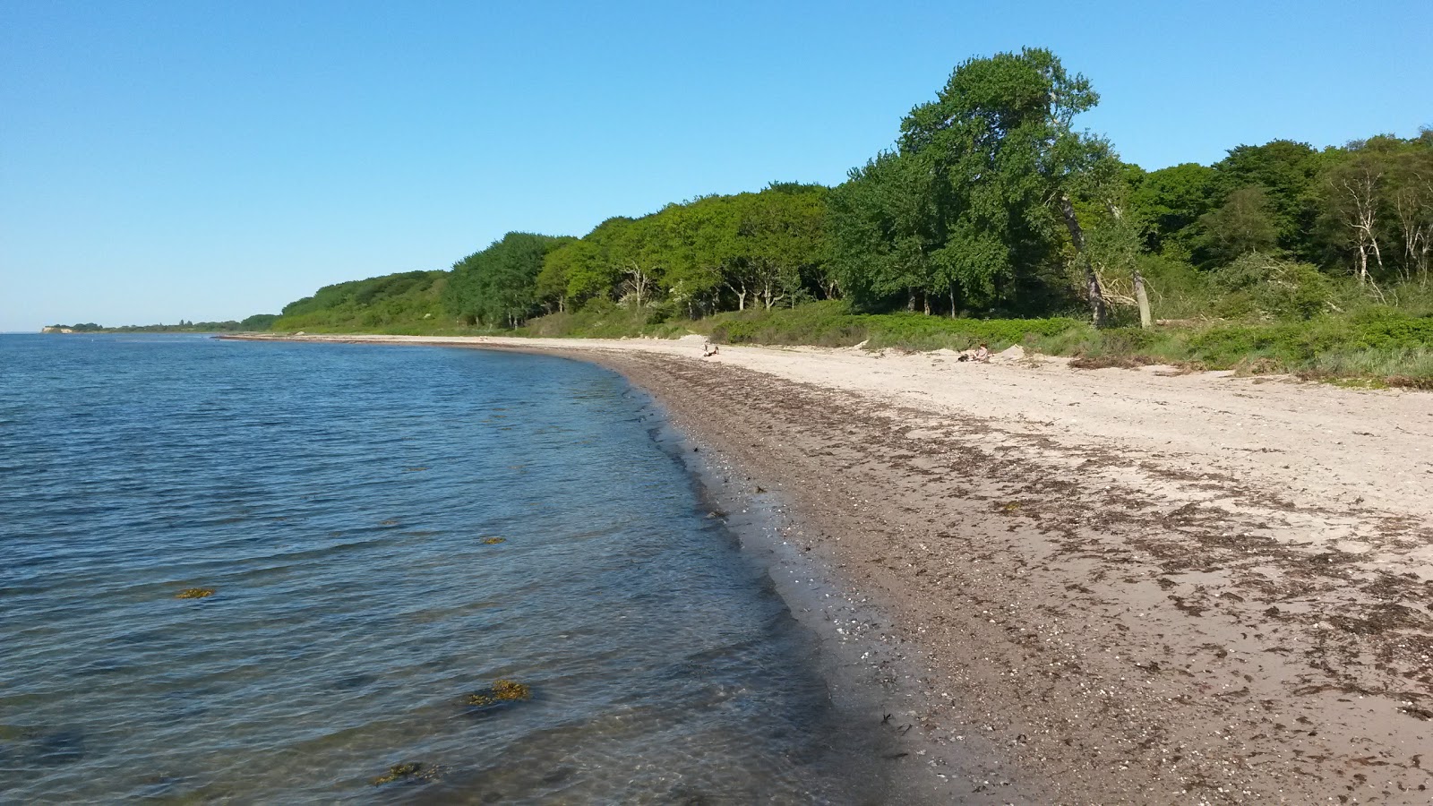 Foto von Lohals Nordstrand Beach mit beiger sand Oberfläche