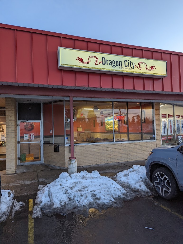 Dragon City Chinese Restaurant 14221
