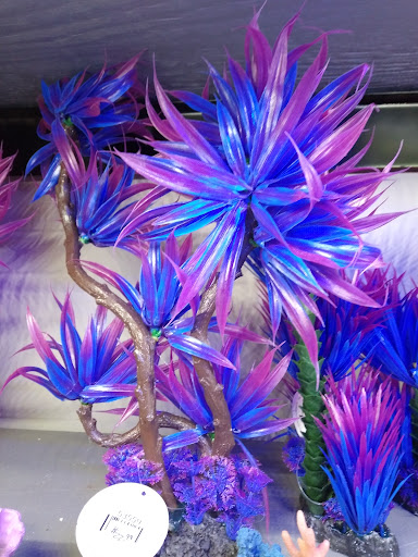 Tropical Fish Store «America Aquaria», reviews and photos, 3485 N 124th St, Brookfield, WI 53005, USA