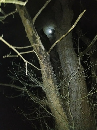 Nature Preserve «DeGraaf Nature Center», reviews and photos, 600 Graafschap Rd, Holland, MI 49423, USA