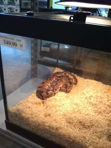 Pet Store «Tye-Dyed Iguana - Reptiles», reviews and photos, 1905 W U.S. 50, Fairview Heights, IL 62208, USA