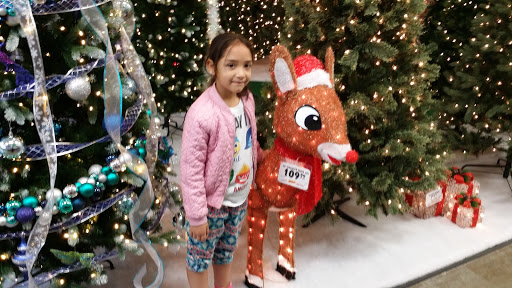 Home Improvement Store «Menards», reviews and photos, 4701 W Cal Sag Rd, Crestwood, IL 60445, USA