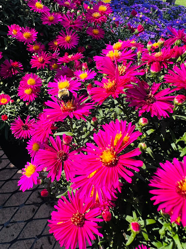 Home Improvement Store «The Home Depot», reviews and photos, 2699 Henry St, Muskegon, MI 49441, USA