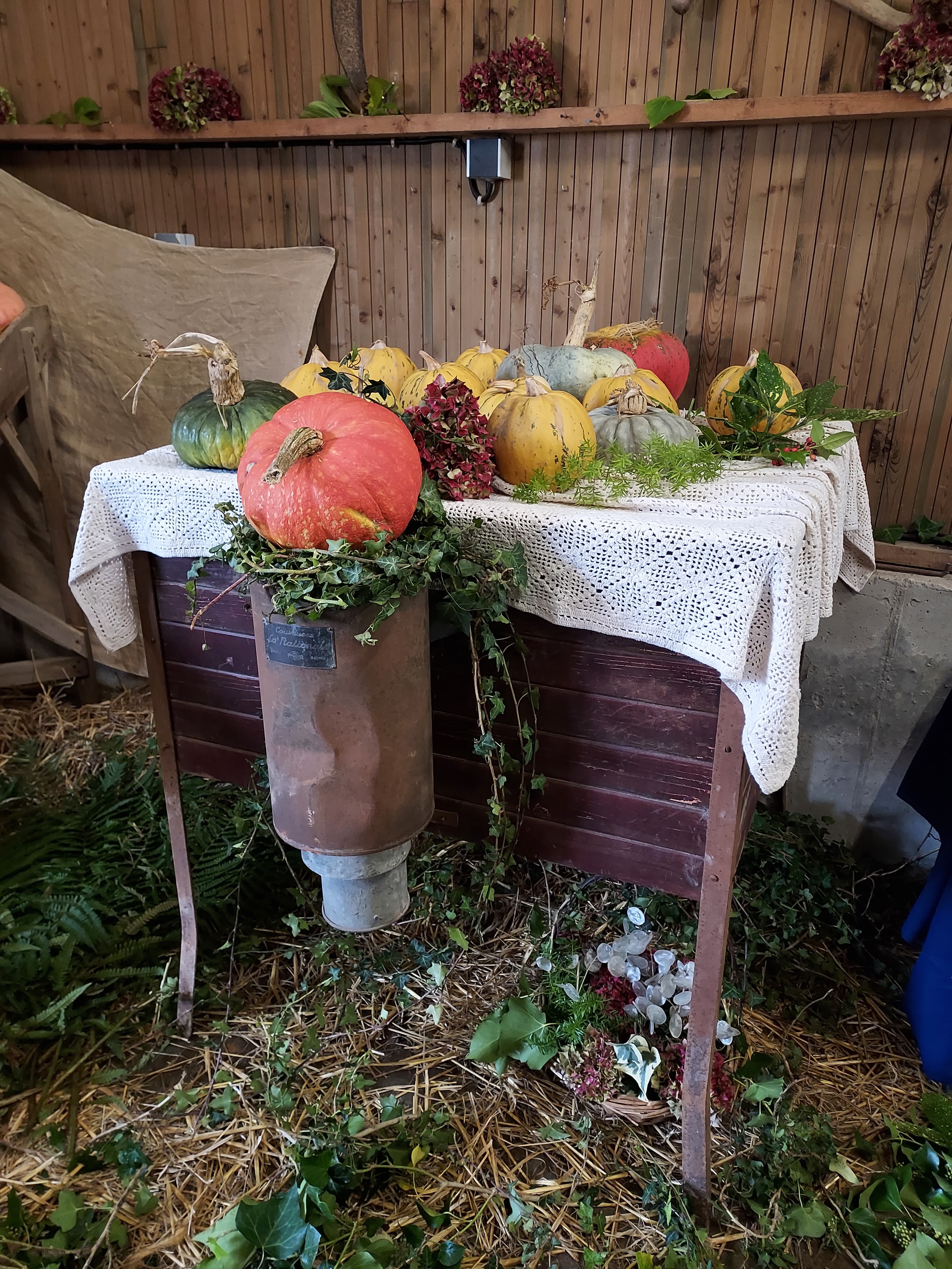Photo n° 18 de l'avis de Sylvie.h fait le 22/10/2023 à 17:56