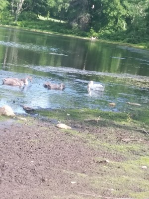 Winnekenni Park - photo 61