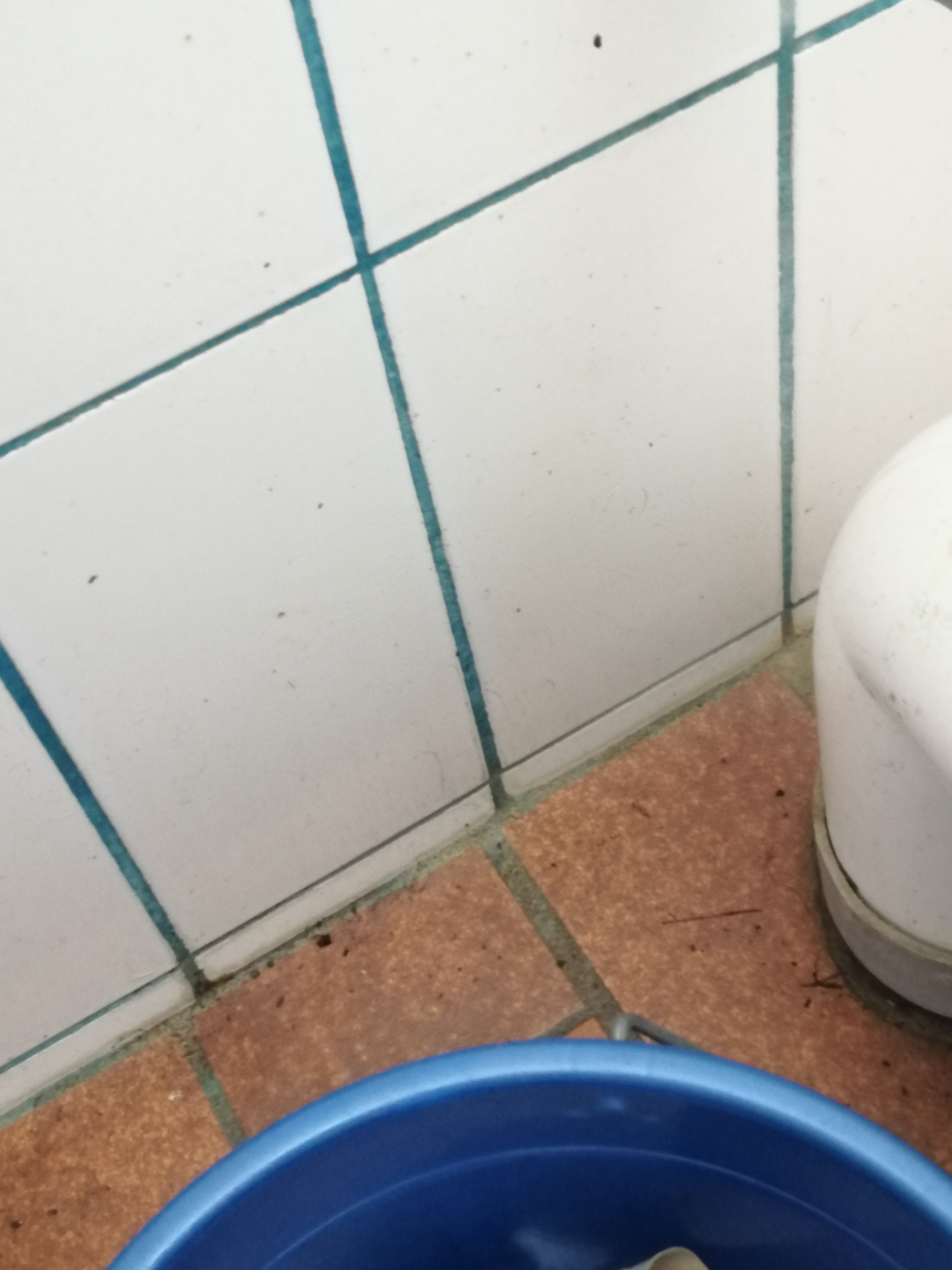 Photo n° 2 de l'avis de RCVJD. fait le 21/08/2023 à 10:11