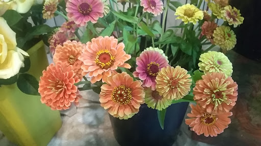 Florist «Post Road English Garden», reviews and photos, 1105 N Post Rd, Indianapolis, IN 46219, USA