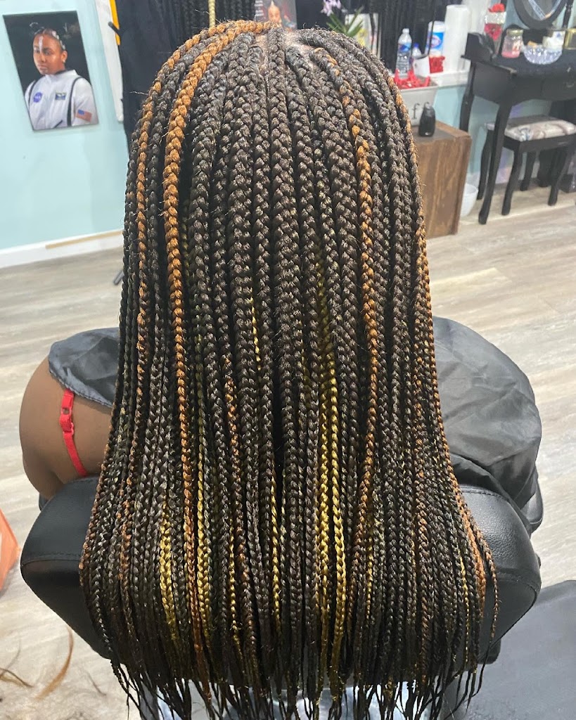 The Braid bar 202 20743