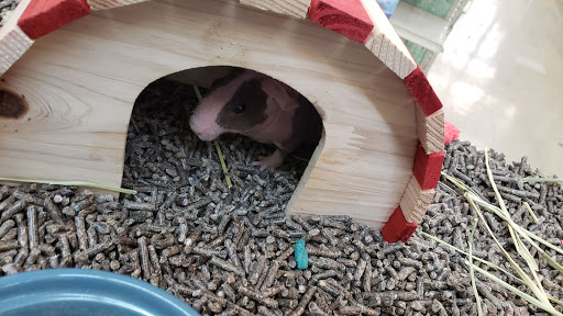 Pet Supply Store «Pet Food Center», reviews and photos, 4036 N First Ave, Evansville, IN 47710, USA