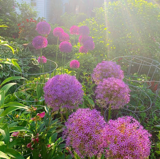 Florist «Arts & Flowers Inc», reviews and photos, 6011 Excelsior Blvd, Minneapolis, MN 55416, USA