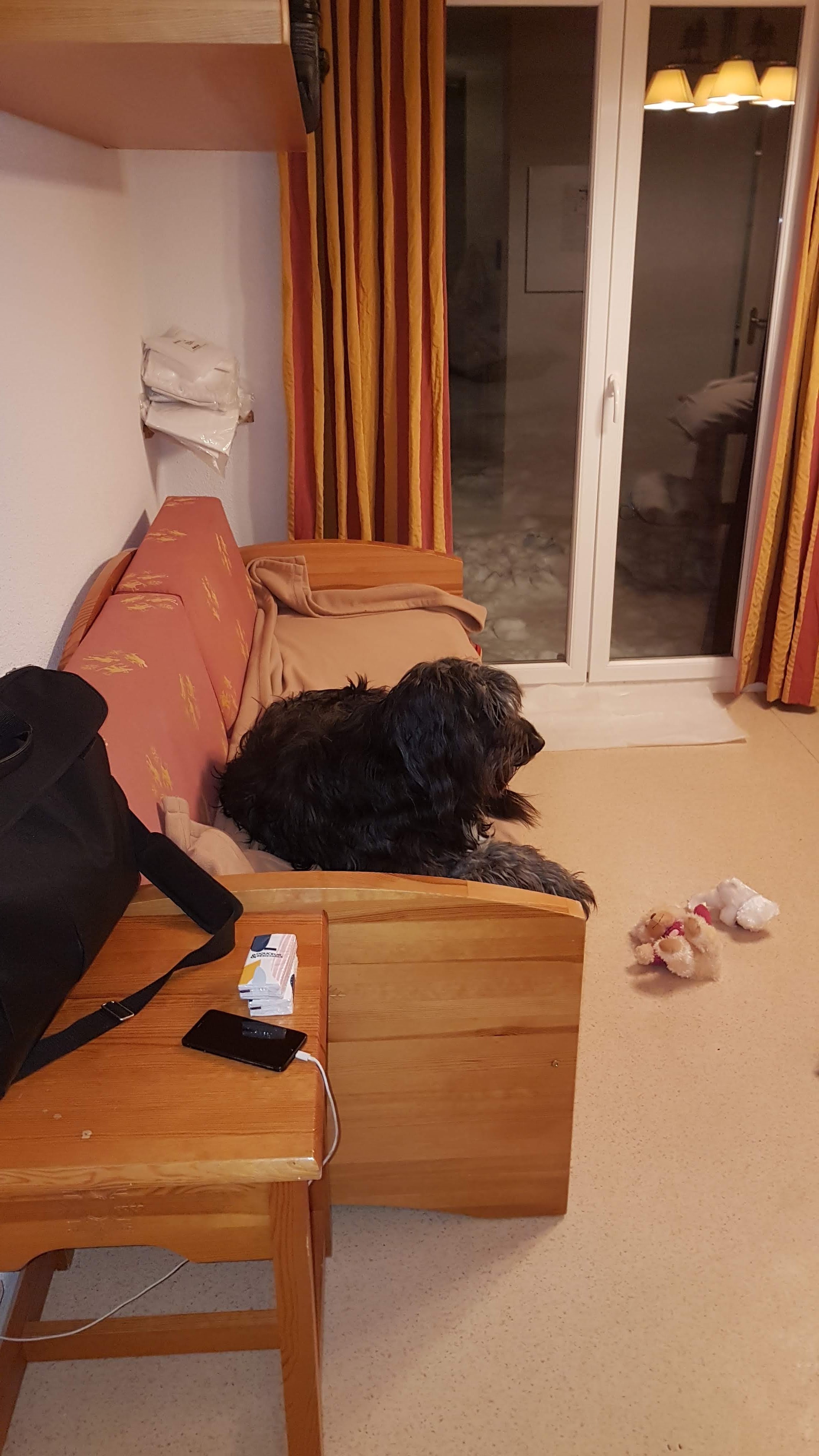 Photo n° 3 de l'avis de Sébastien.o fait le 26/01/2020 à 14:39