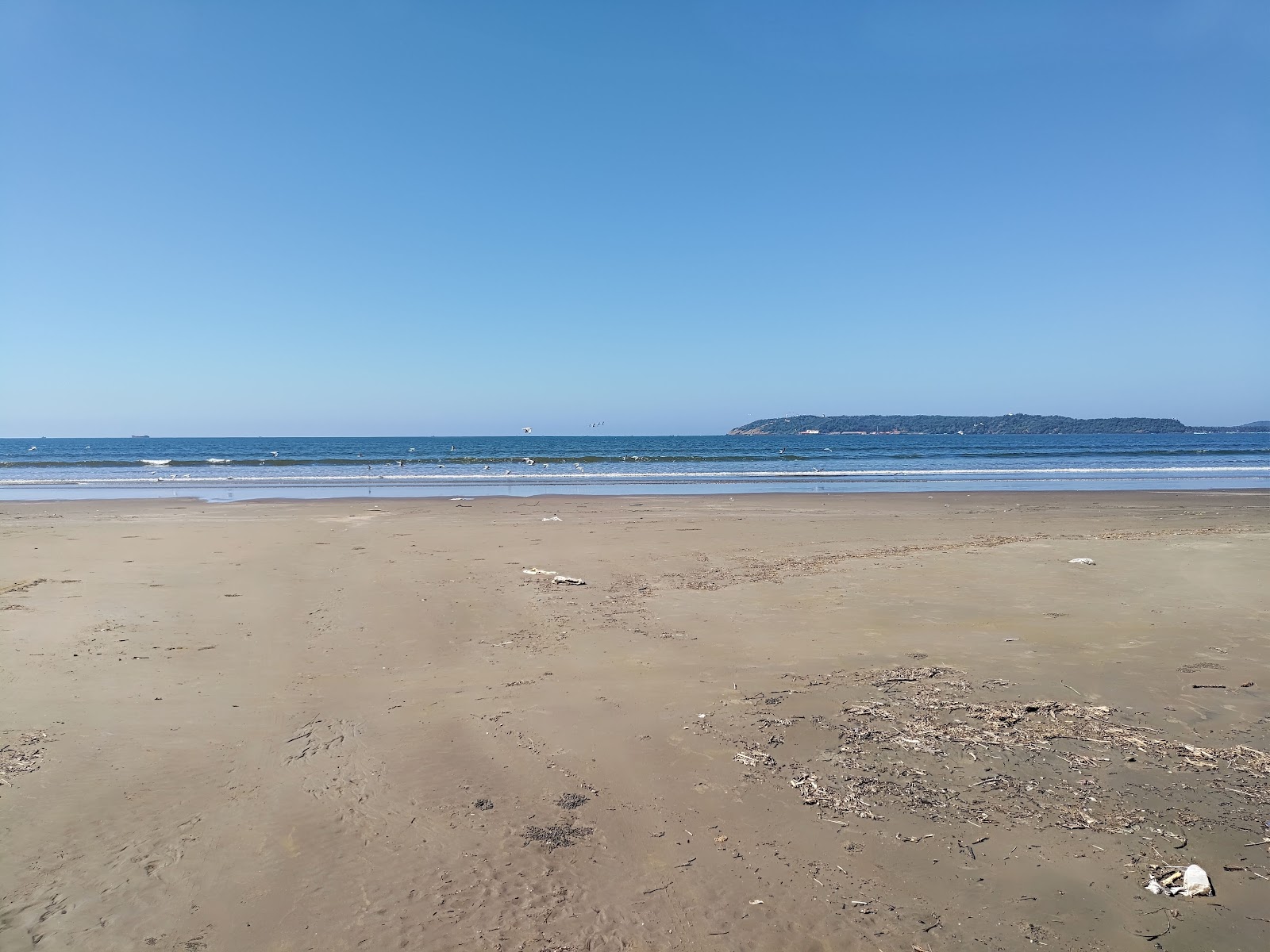 Caranzalem Beach的照片 带有碧绿色水表面