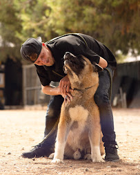 Better K9 Pet Resort - Riverside Location - Photo 9 - Car repair in Riverside, CA, Riverside