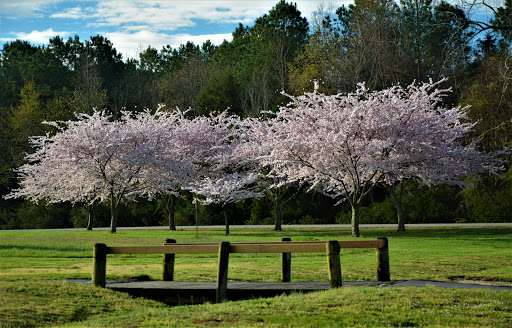 Golf Club «Breton Bay Golf & Country Club», reviews and photos, 21935 Society Hill Rd, Leonardtown, MD 20650, USA