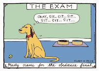 Well Loved Dogs - Overnight Boarding and Doggie Daycare - Photo 4 - Car repair in Berkeley, CA, Oakland