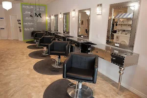 Tangles Hair Salon & Spa image