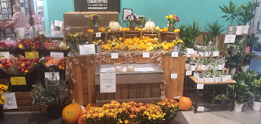 Shopping Mall «Pinebrook Shopping Center», reviews and photos, 3964 Airport Blvd, Mobile, AL 36608, USA