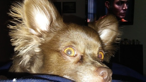 Home Improvement Store «The Home Depot», reviews and photos, 2421 Old Taylor Rd, Chesapeake, VA 23321, USA