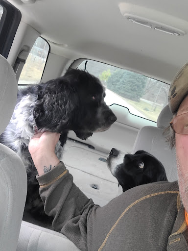 Willow Park Veterinary Clinic image