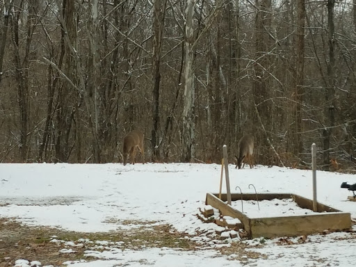 Auto Repair Shop «Quality Collision», reviews and photos, 2110 S Walnut St, Bloomington, IN 47401, USA