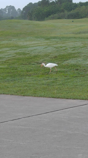 Golf Club «Majors Golf Club», reviews and photos, 3425 Bayside Lakes Blvd SE, Palm Bay, FL 32909, USA