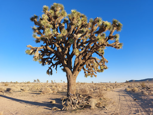 Mortgage Broker «Stonebridge Mortgage Group Inc.», reviews and photos